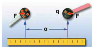 Coulomb Bodies